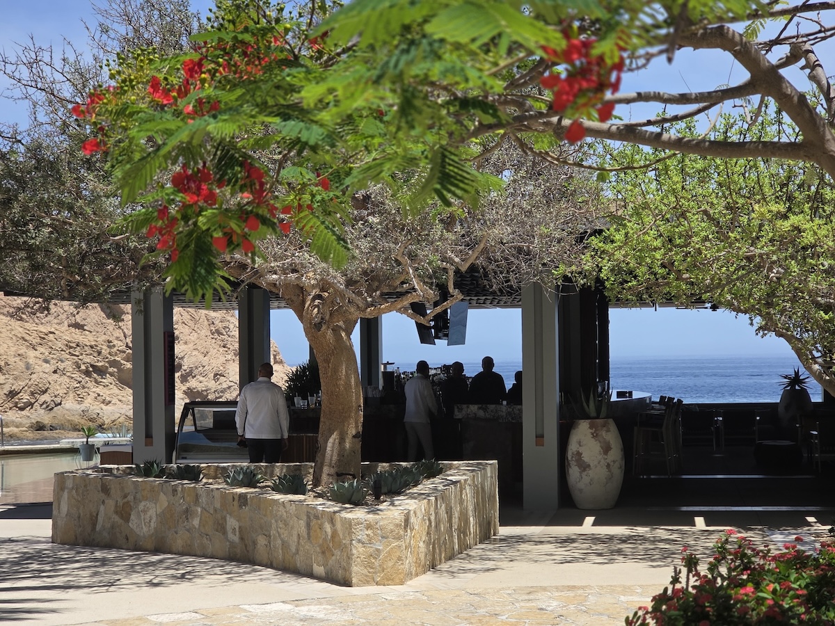 Aerial view of coastal communities in San Jose del Cabo