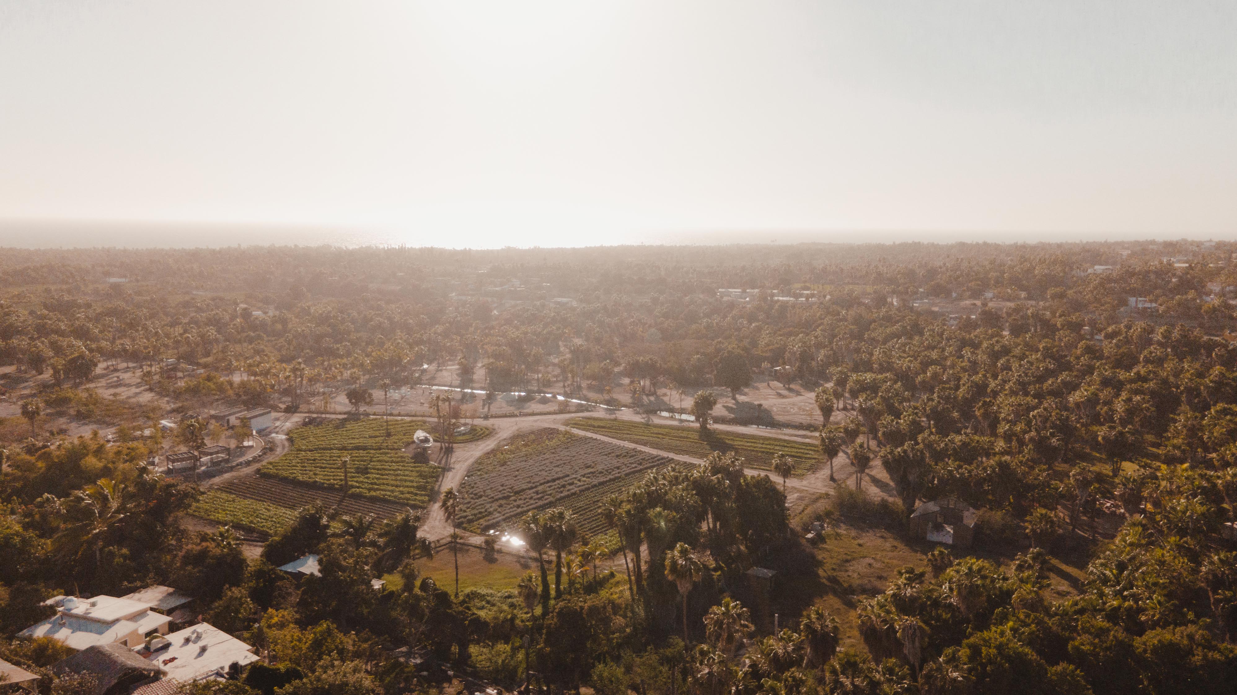 Aerial view of Todos Santos, Mexico with Pacific Ocean and palm-lined coast