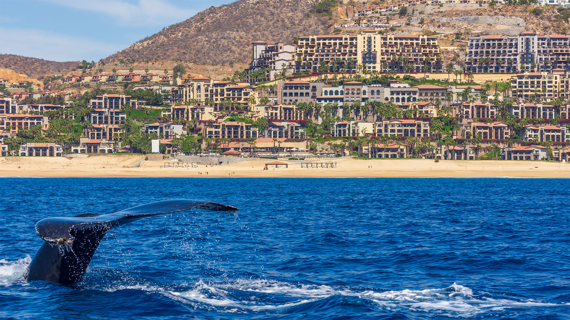 Aerial coastline of Los Cabos with resort condo communities along the Tourist Corridor