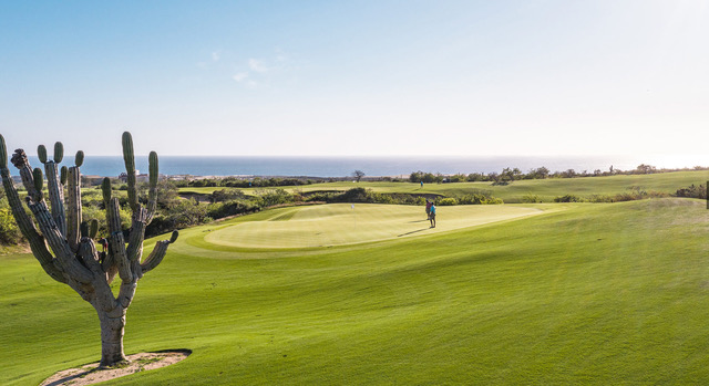 Diamante in Los cabos