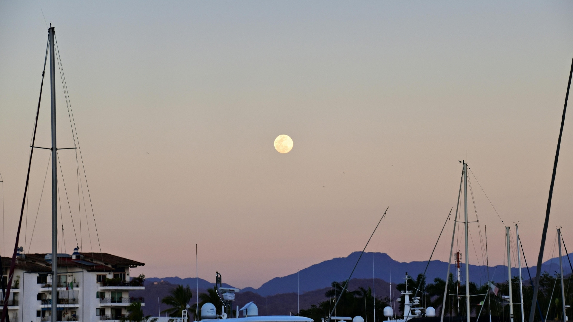 Puerto Los Cabos marina at dusk with luxury yachts and private estates along the waterfront