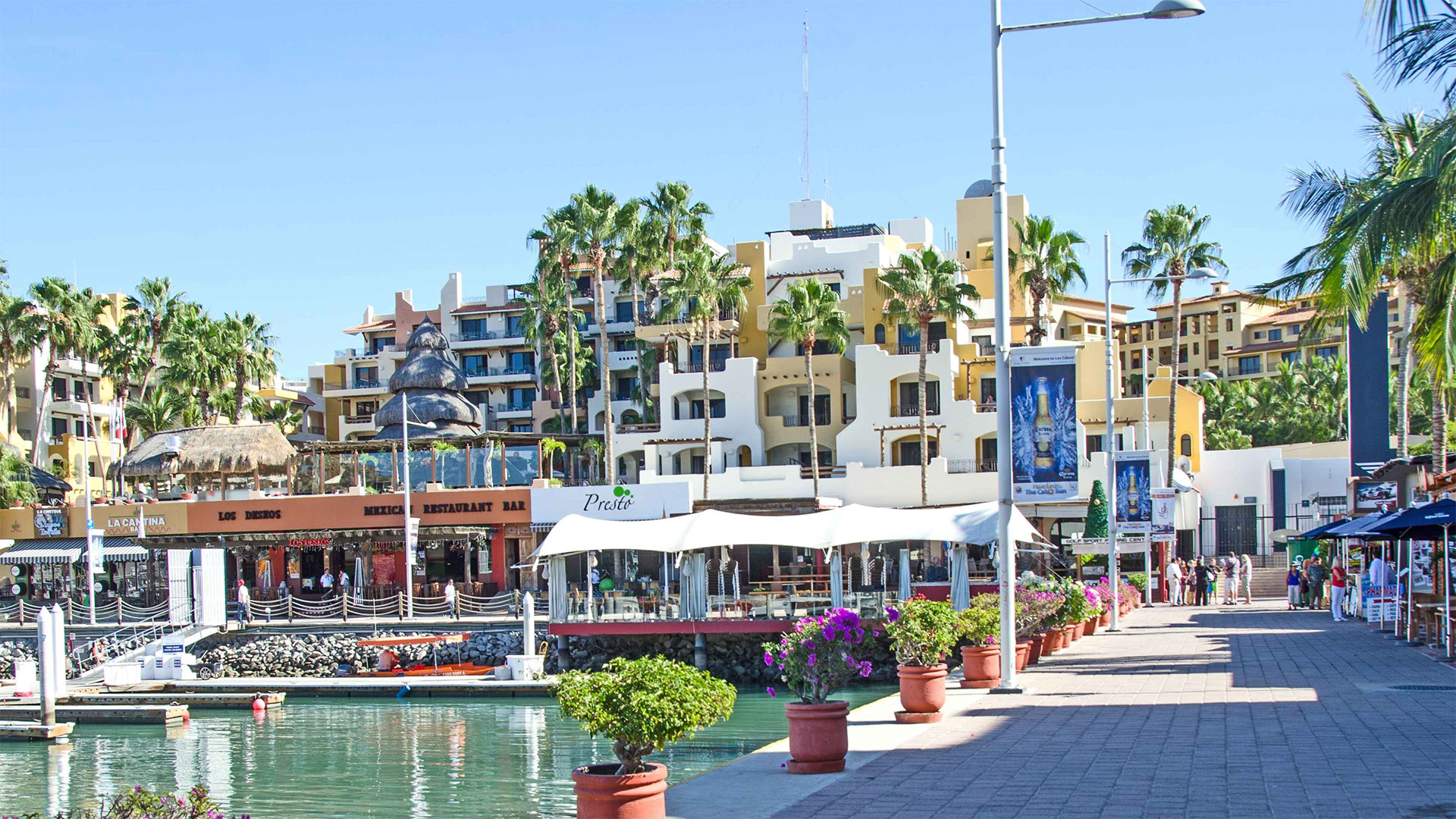 Pedregal gated community with luxury ocean-view homes in Cabo San Lucas