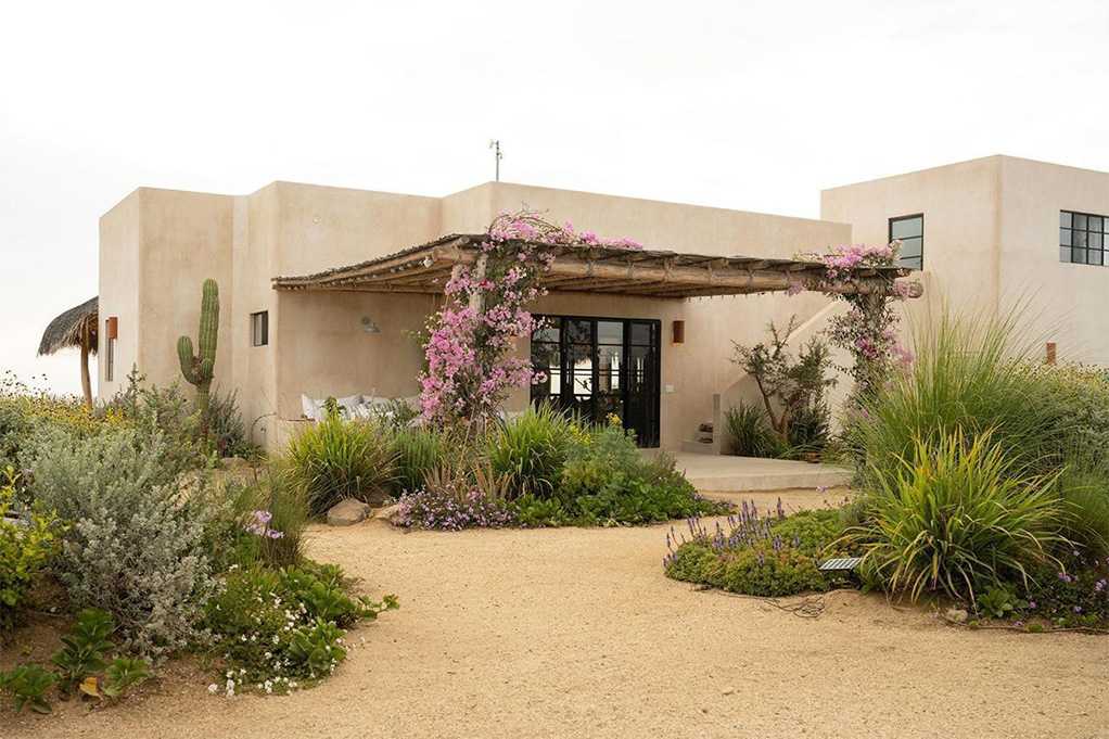 Eco-friendly residence in Todos Santos surrounded by native desert landscaping