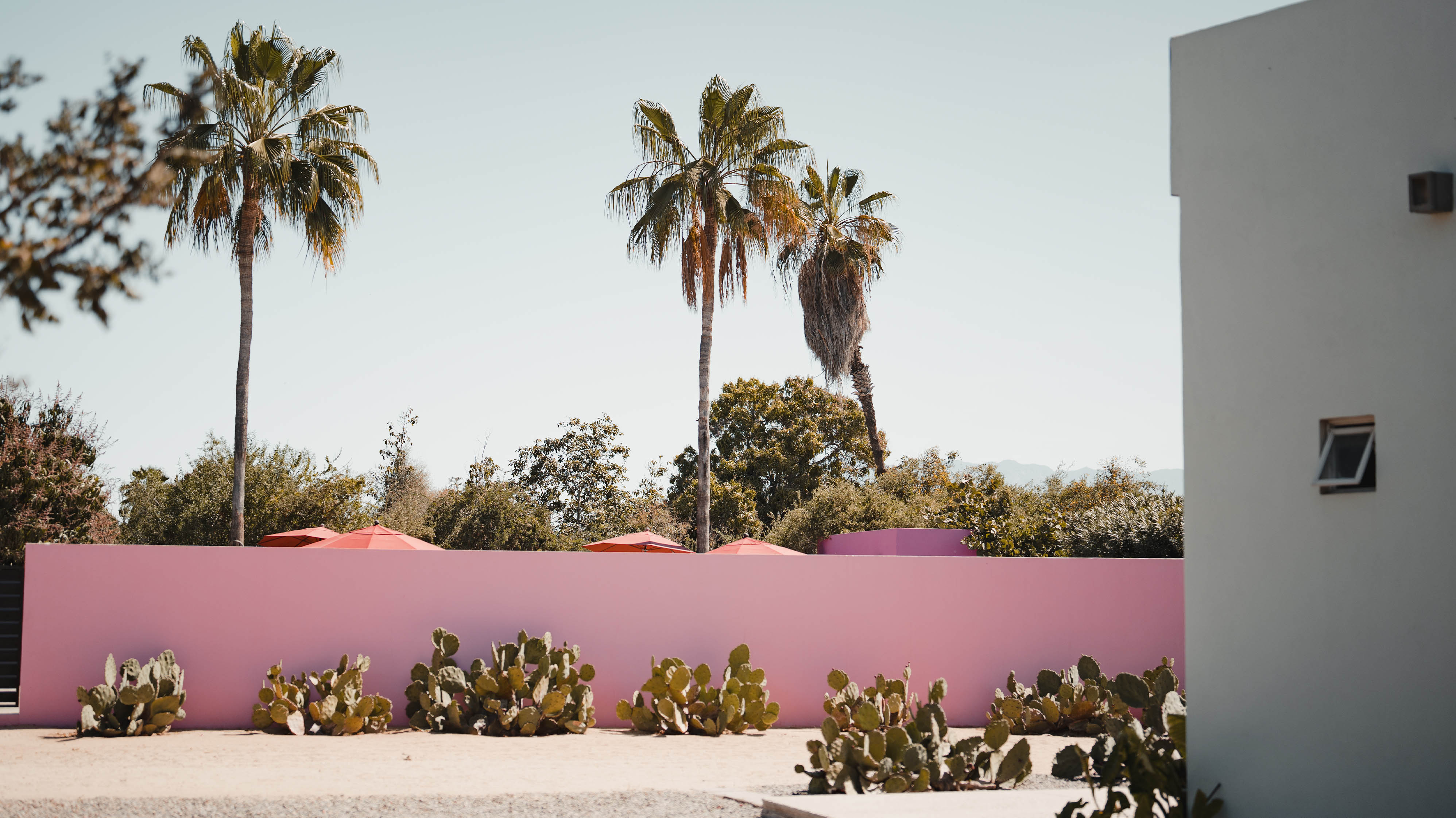 Downtown Todos Santos with colorful colonial buildings, art galleries, and palm trees