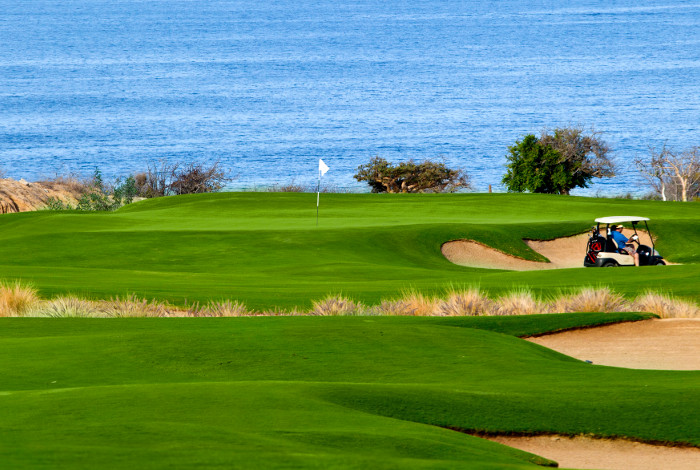 Homes in Club Campestre