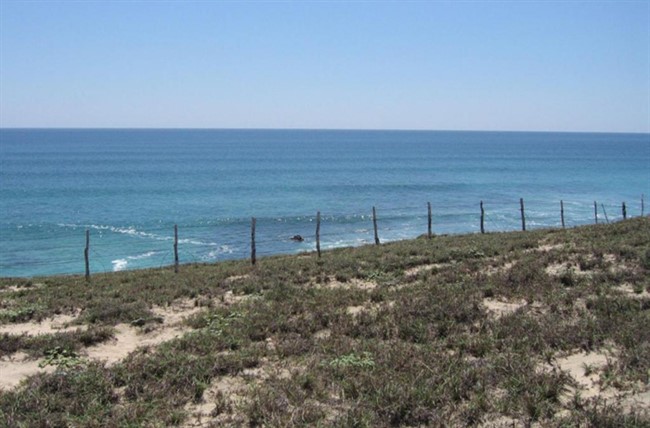 East Cape Shipwrecks Beachfront Property