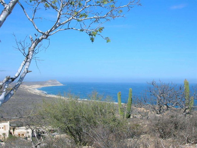 Price reduced: Laguna Hills Property, San Jose del Cabo
