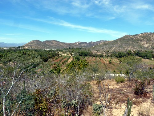 Lots for sale in Las Animas around Flora Farm and Tamarindo