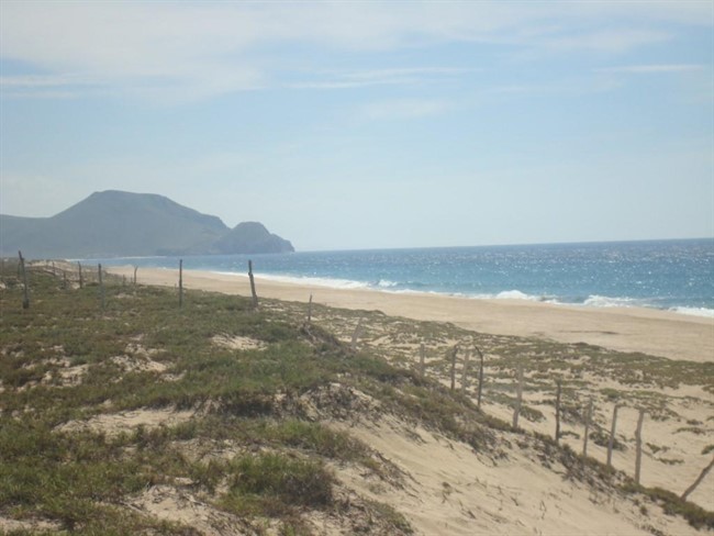 Todos Santos Property For Sale