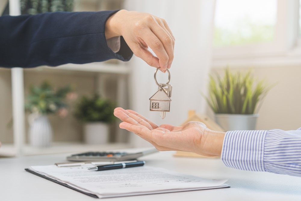 Intelligence Powers Wealth