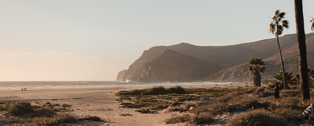 Real Estate Professional at Baja Smart Real Estate