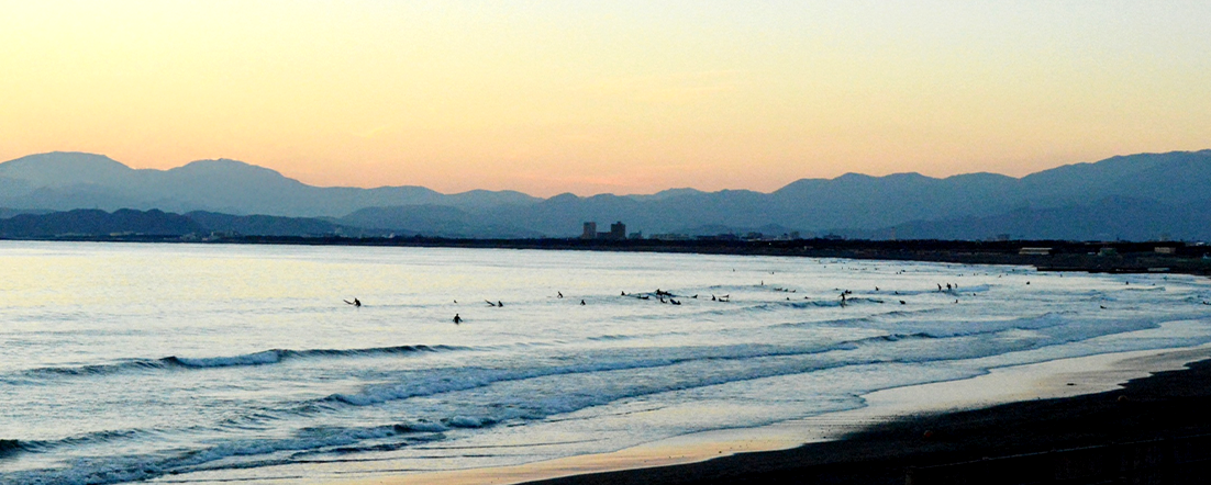 Baja Smart Real Estate expert