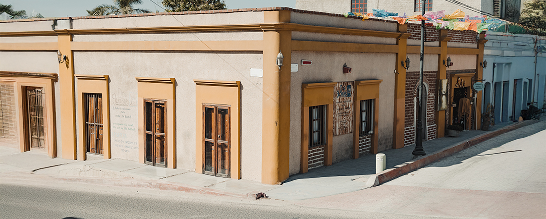 Real Estate professional in Todos Santos