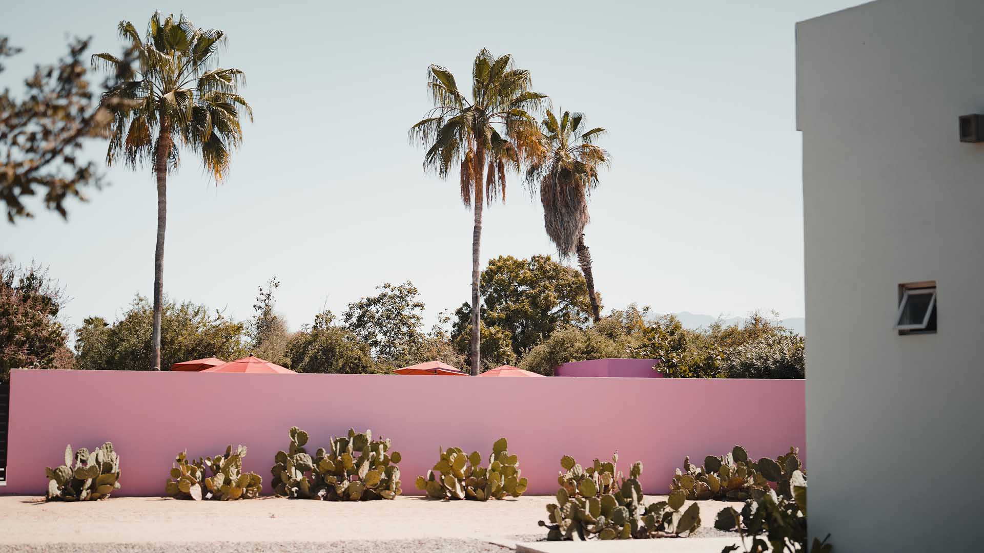 Residential living near downtown Todos Santos