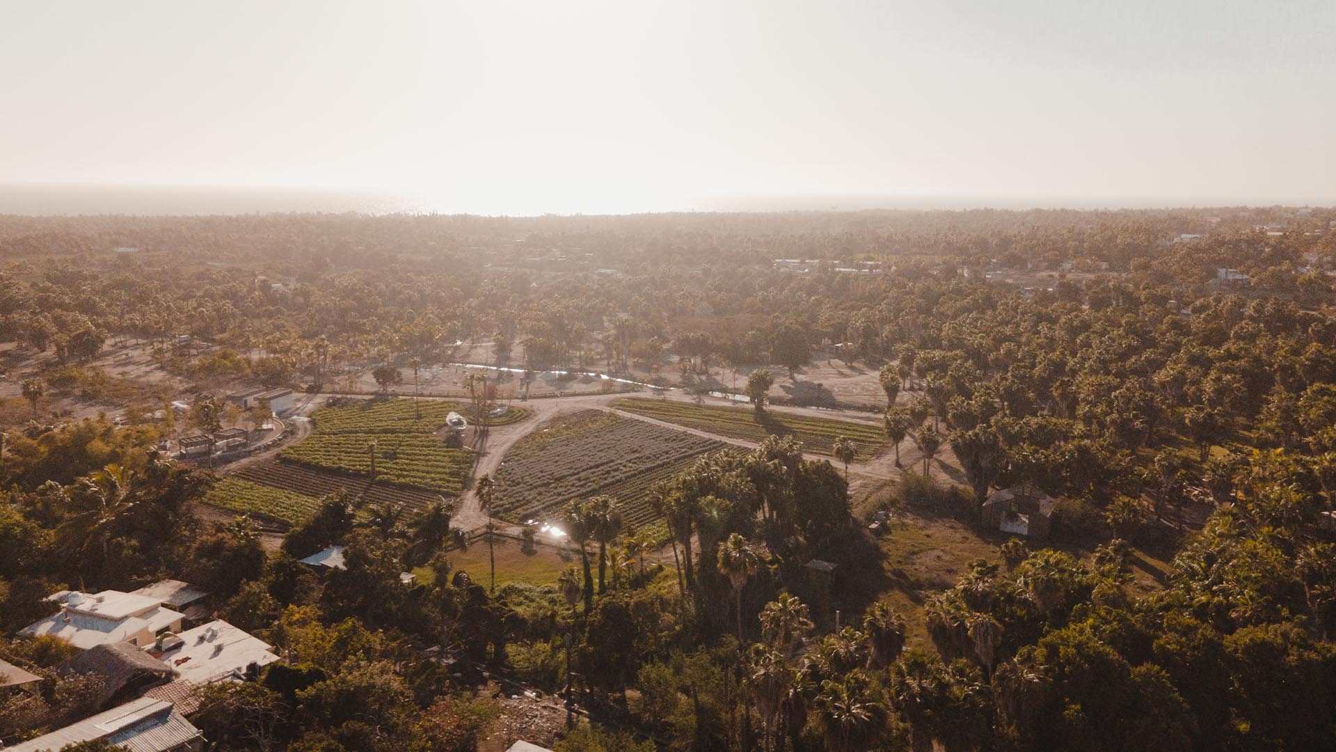 Residential growth in Todos Santos Baja California Sur