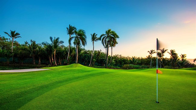 Why Golf Lovers Are Investing in Real Estate in Los Cabos